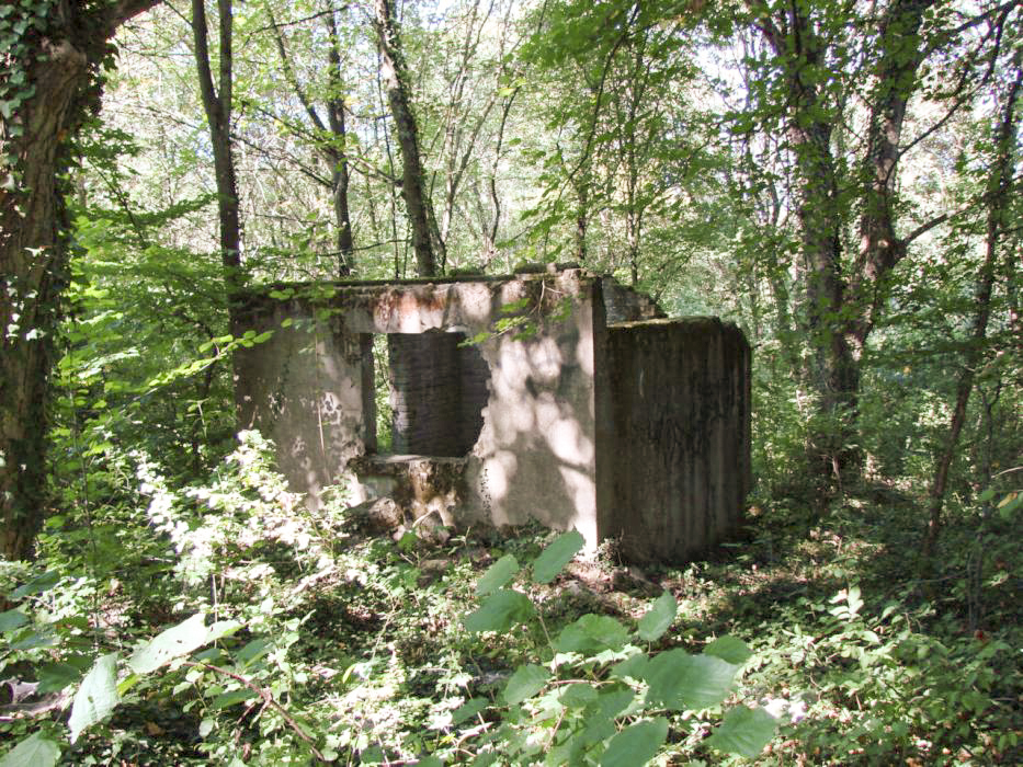 Ligne Maginot - ELZANGE - (Camp de sureté) - Les ruines du camp
Local pompes (?) qui se trouve à coté du baraquement des sanitaires. - Schnoupf