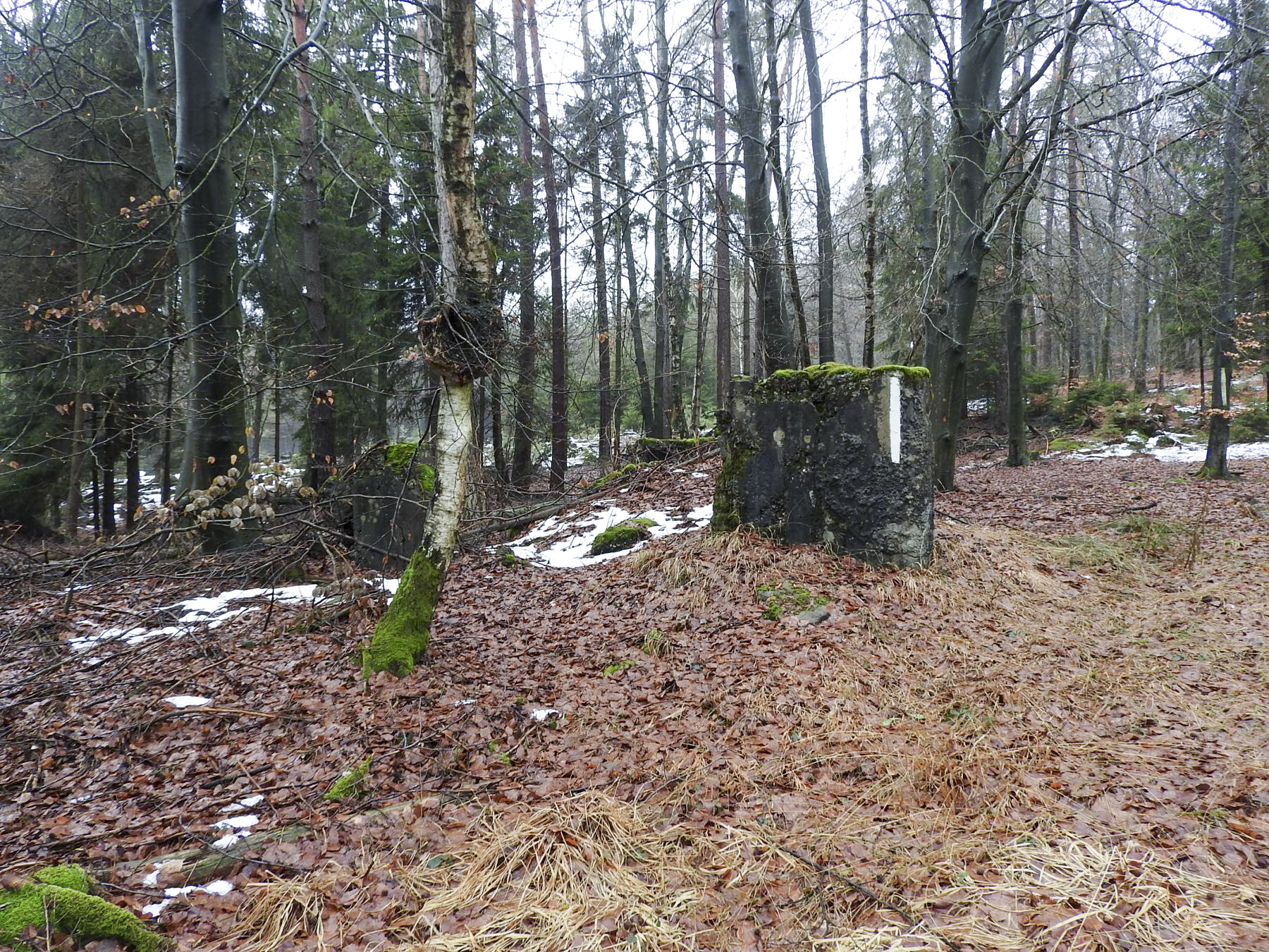 Ligne Maginot - COL DU WIEP 1 - (Blockhaus de type indeterminé) - 
