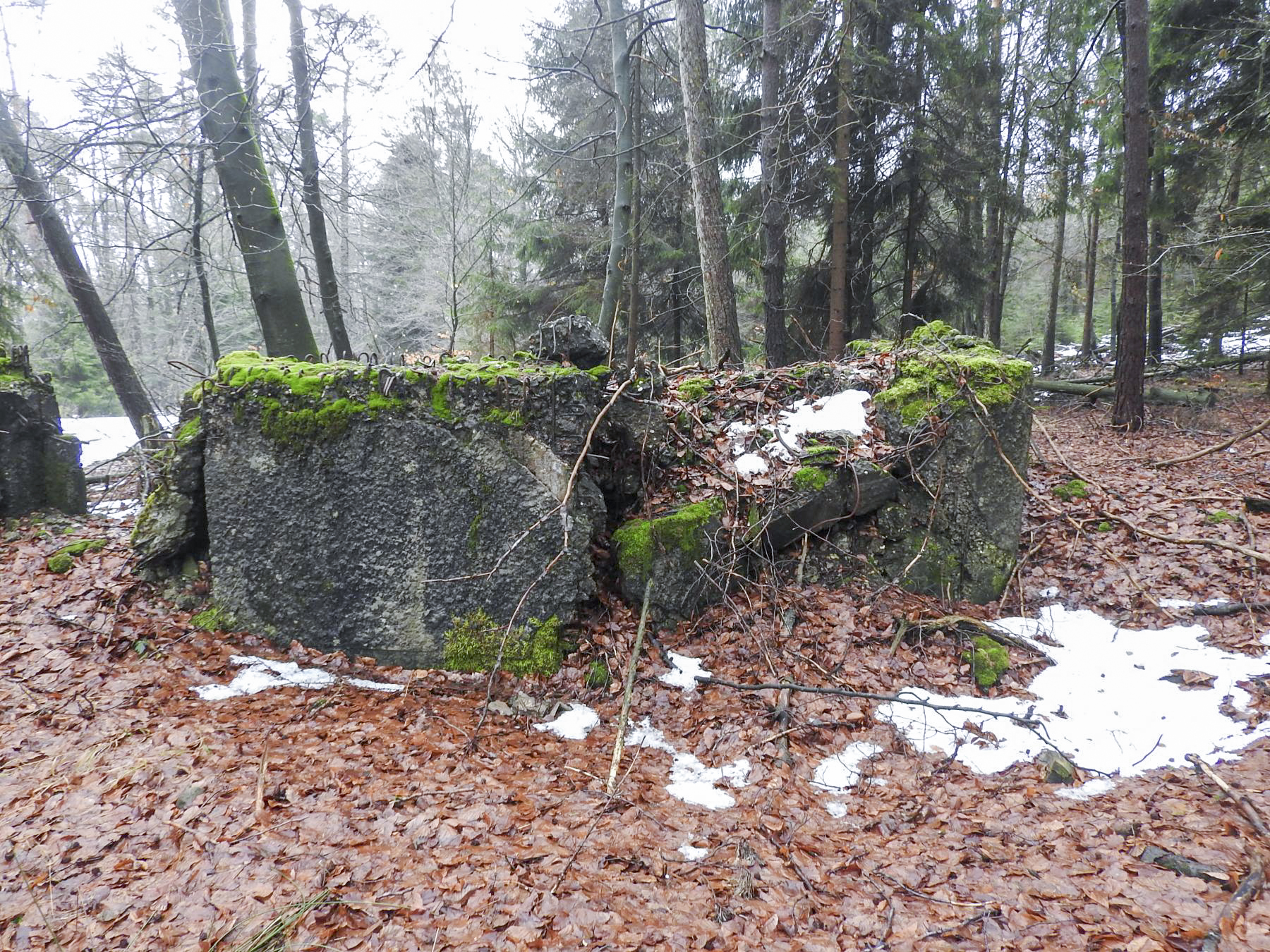 Ligne Maginot - COL DU WIEP 1 - (Blockhaus de type indeterminé) - 