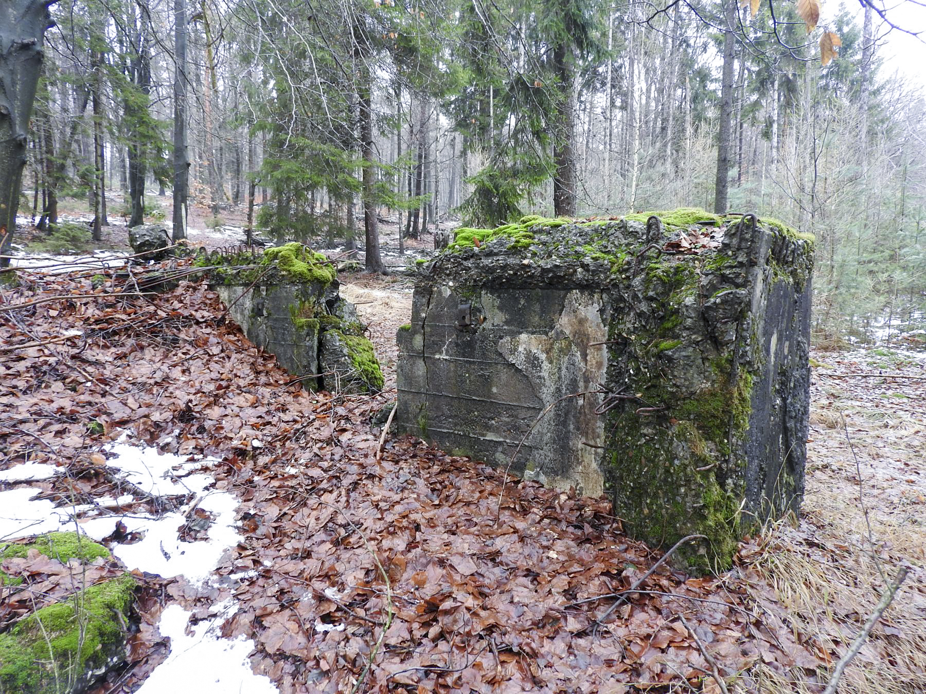 Ligne Maginot - COL DU WIEP 1 - (Blockhaus de type indeterminé) -  - STENGER Mathieu
