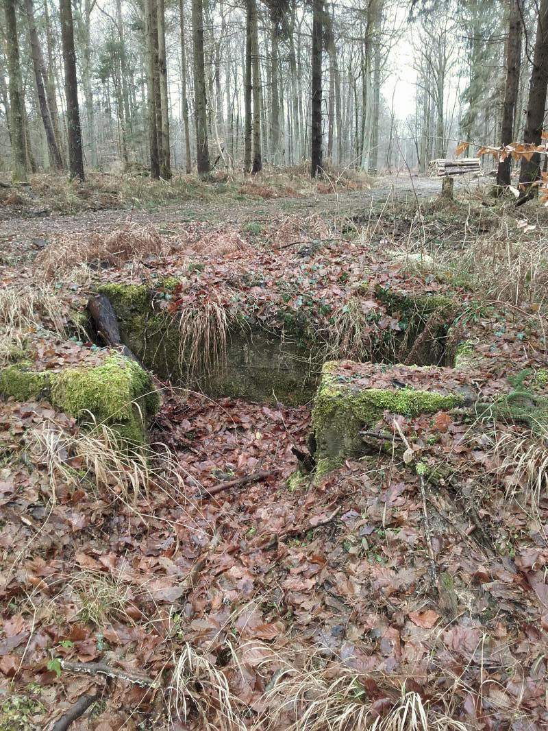 Ligne Maginot - CHENAIE 6 (Cuve pour arme d'infanterie) -  - Martz yannick