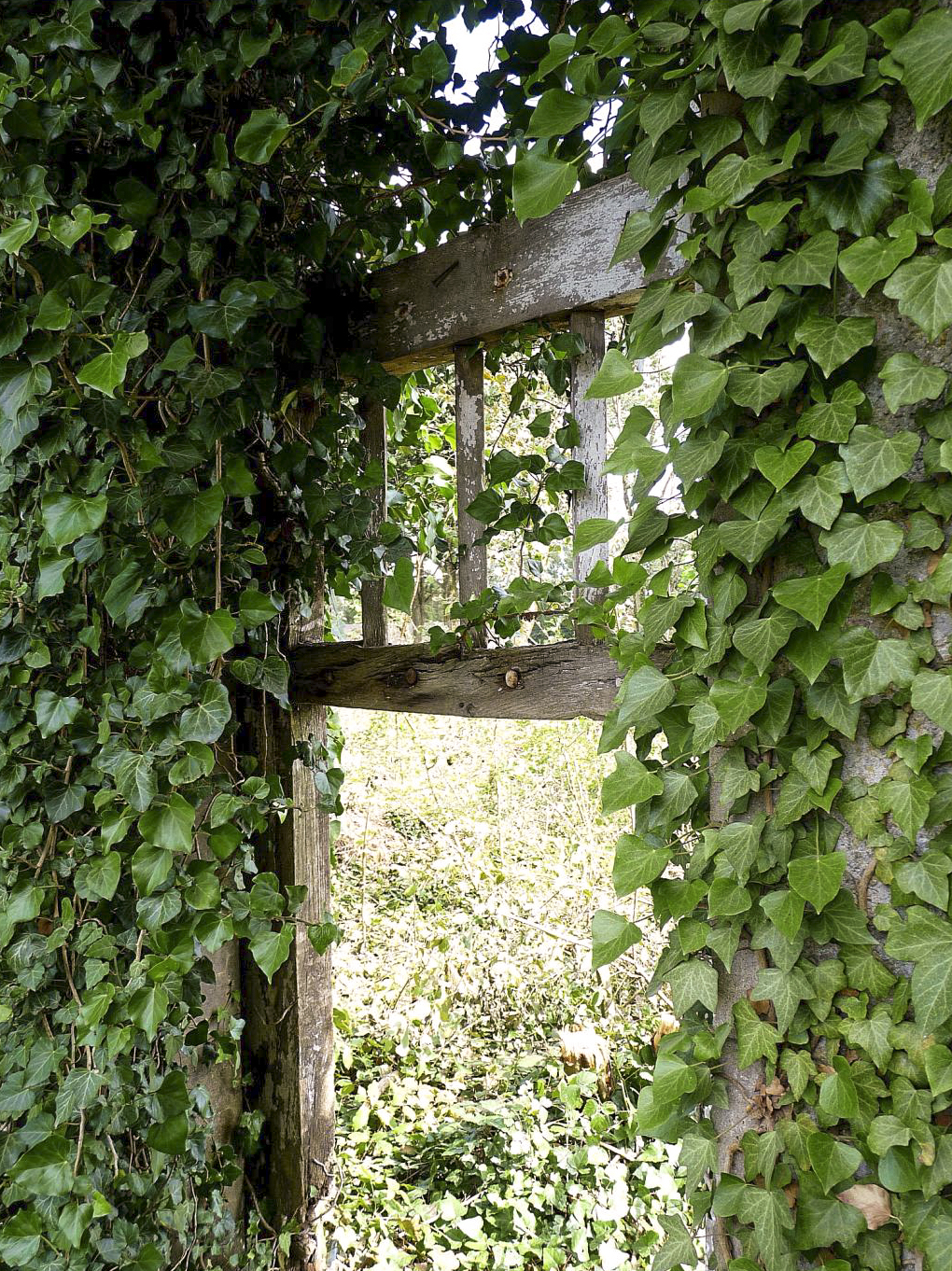 Ligne Maginot - LUDELANGE - (Camp de sureté) - Restes de la porte en bois