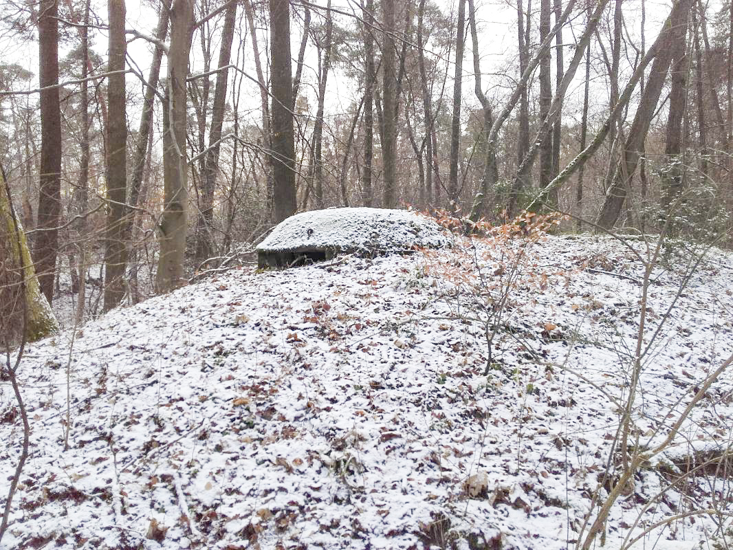 Ligne Maginot - CIMETIERE de SOUFFLENHEIM 3 (Blockhaus pour arme infanterie) -  - Martz yannick