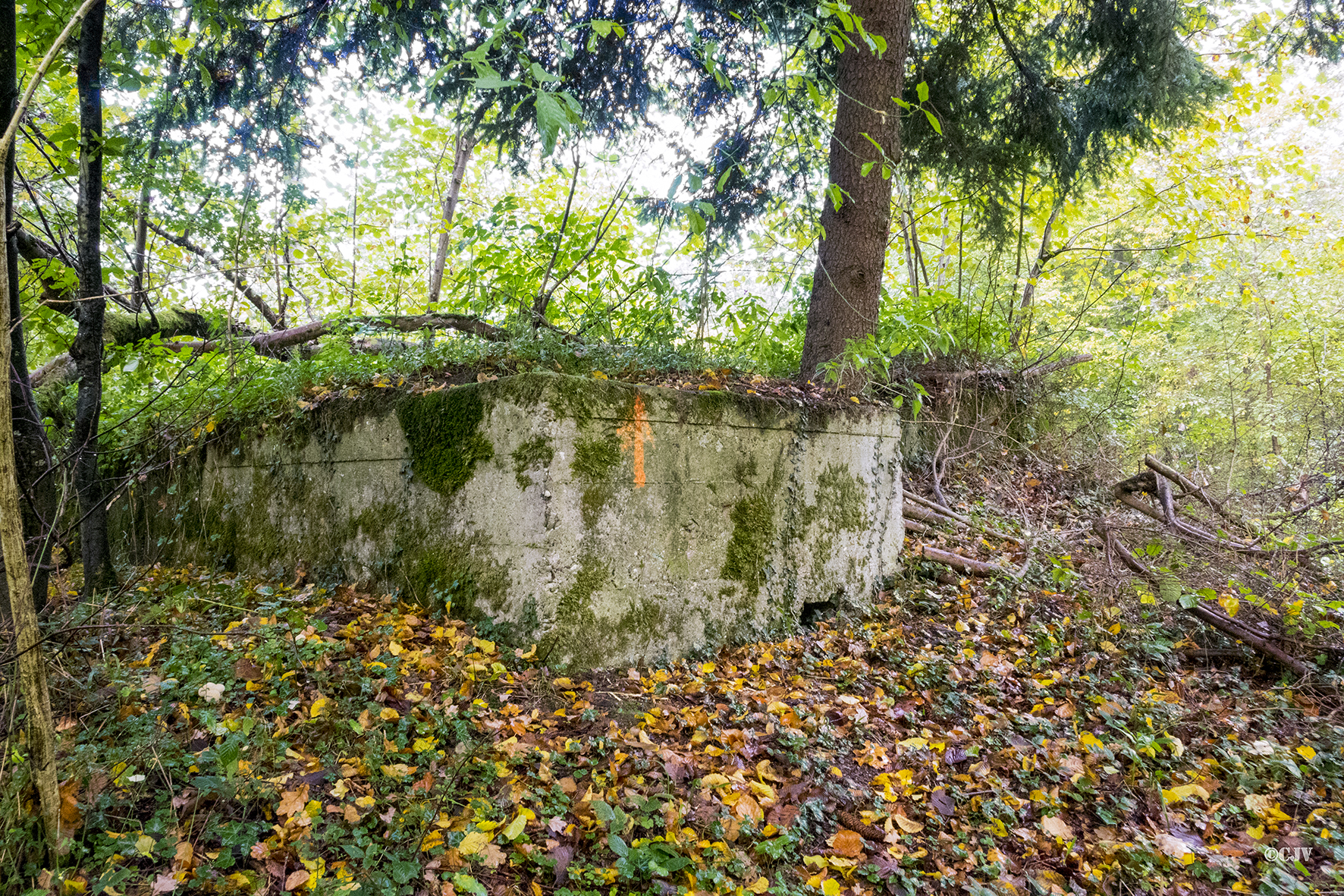 Ligne Maginot - ESCHENGRABEN 1 - (Blockhaus pour arme infanterie) - 