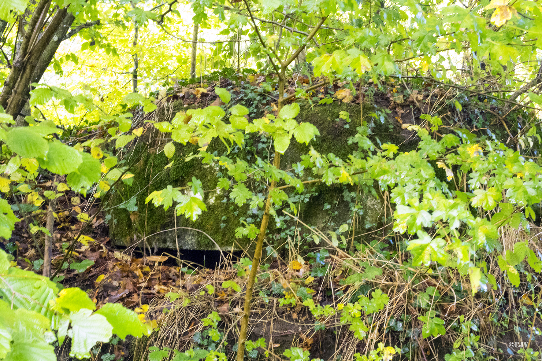 Ligne Maginot - ESCHENGRABEN 2 - (Blockhaus pour arme infanterie) - 
