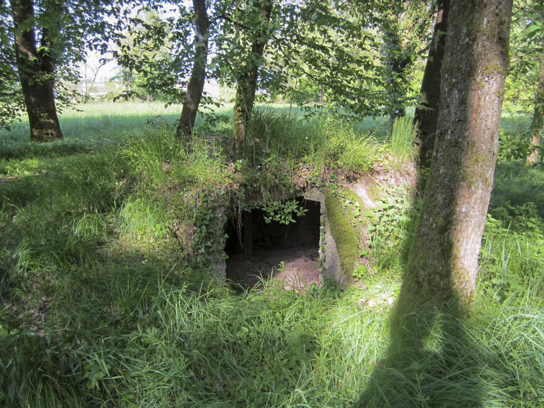 Ligne Maginot - SELTZBACH 4 (Observatoire d'infanterie) - 