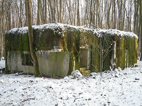 Ligne Maginot - SELTZBACH 3 (Blockhaus pour arme infanterie) - Vue extérieure