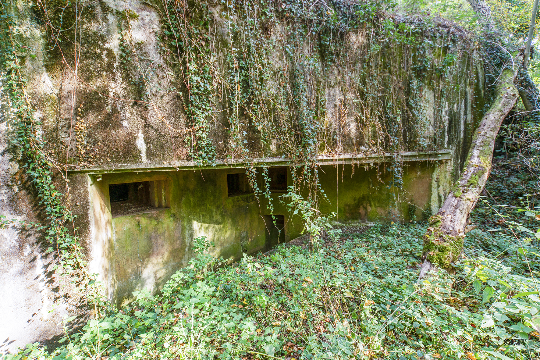 Ligne Maginot - HEIDENBUCKEL - (Casemate d'infanterie - double) - 