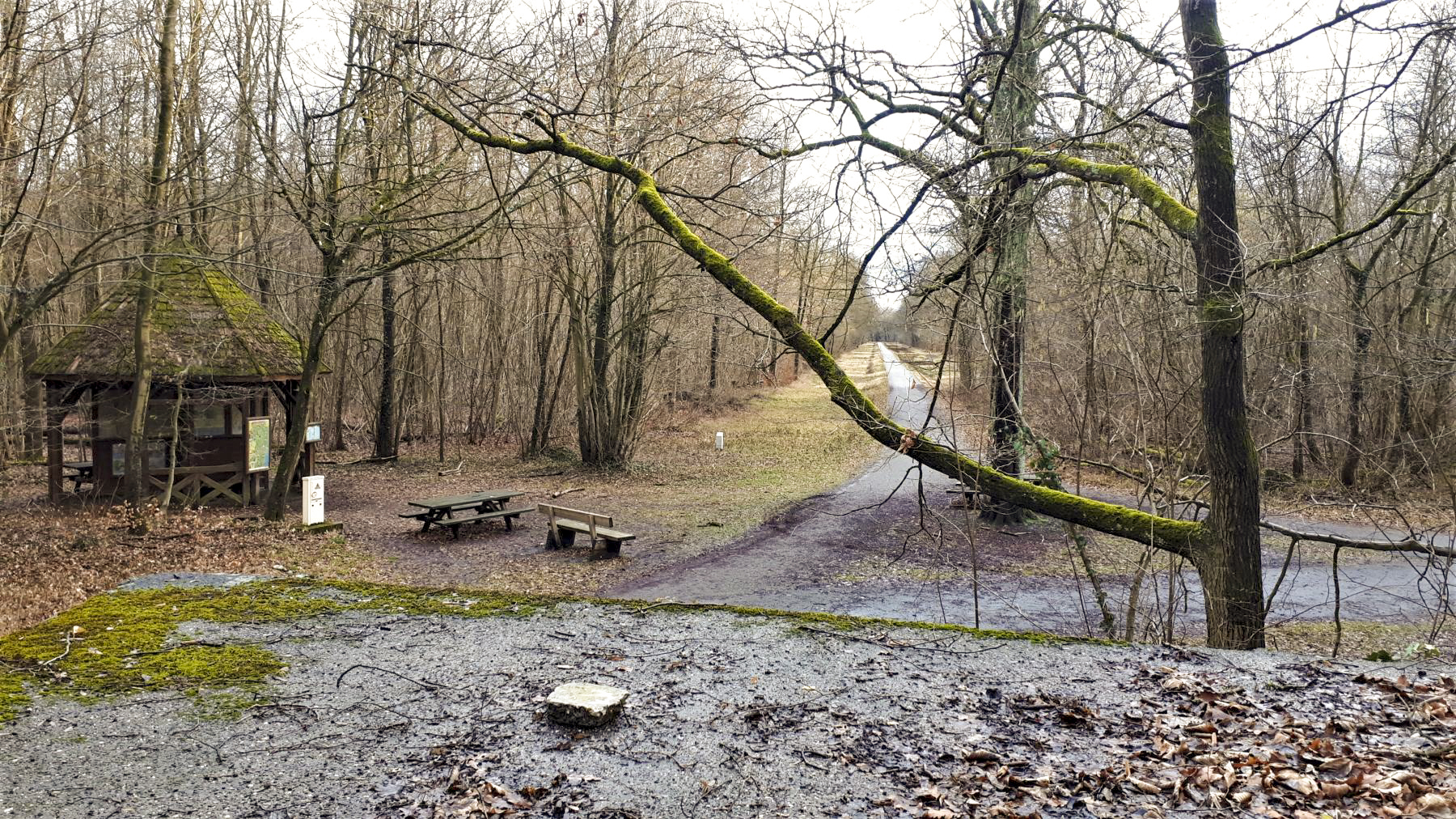 Ligne Maginot - BLAUELSAND - (Casemate d'infanterie - Simple) - Vue depuis l'orifice périscopique vers le sud (la direction de tir des mitrailleuses)