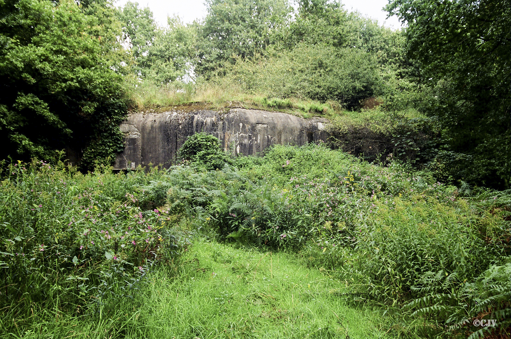 Ligne Maginot - KAUFFENHEIM (Casemate d'infanterie) - La casemate de Kauffenheim envahie par la végétation au début des années 2000 - Caspar Vermeulen