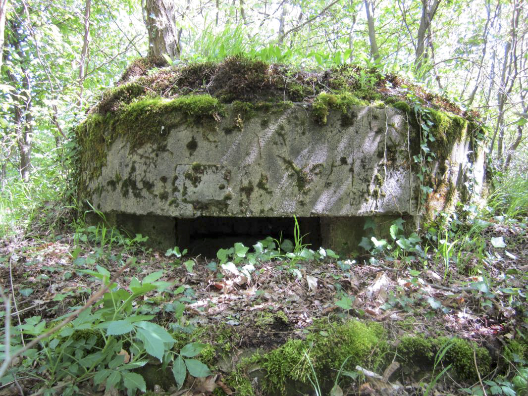 Ligne Maginot - KLOSTERGRABEN 2 - (Blockhaus pour arme infanterie) -  - gregfuchs