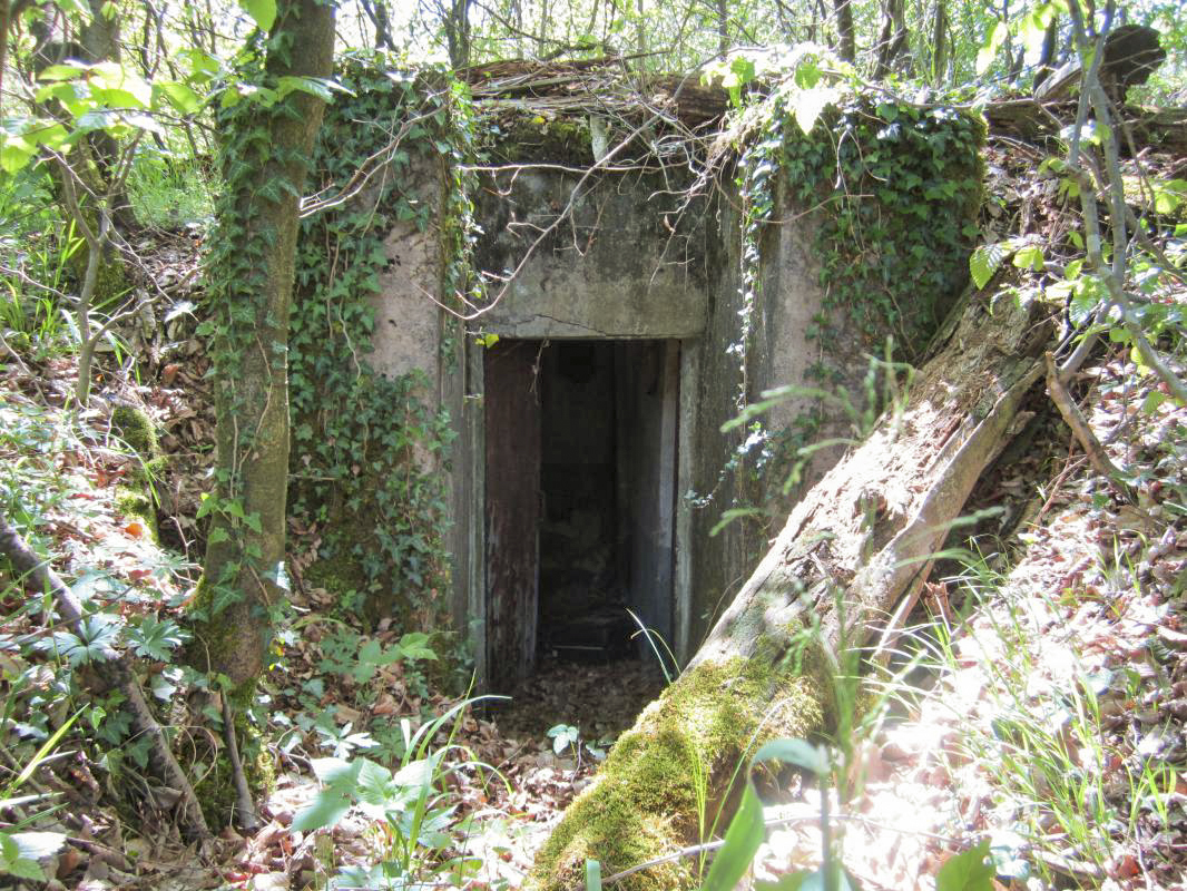 Ligne Maginot - KLOSTERGRABEN 2 - (Blockhaus pour arme infanterie) - L'entrée - gregfuchs