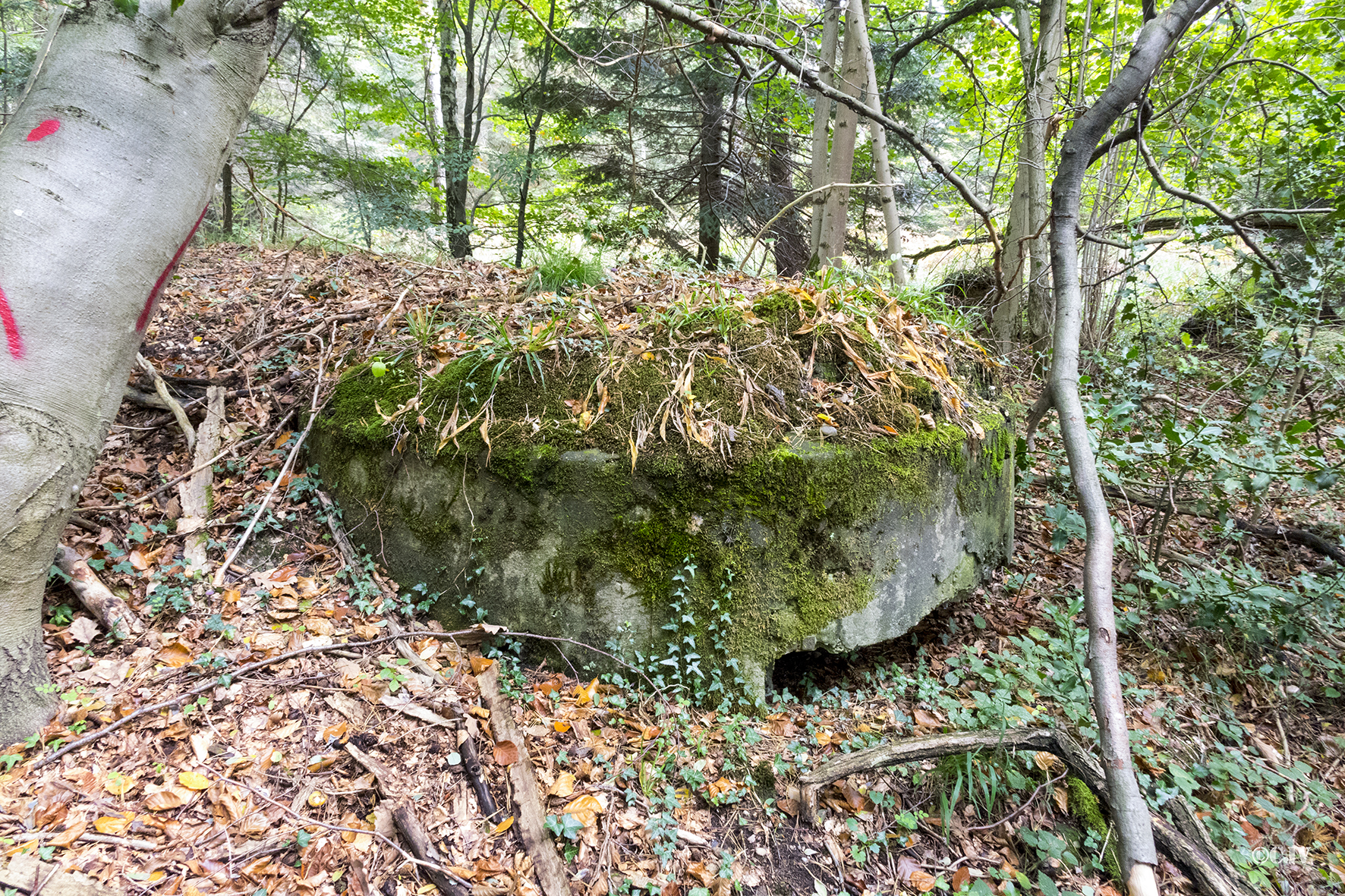 Ligne Maginot - KLOSTERGRABEN 5 - (Blockhaus pour arme infanterie) -  - Lia VERMEULEN
