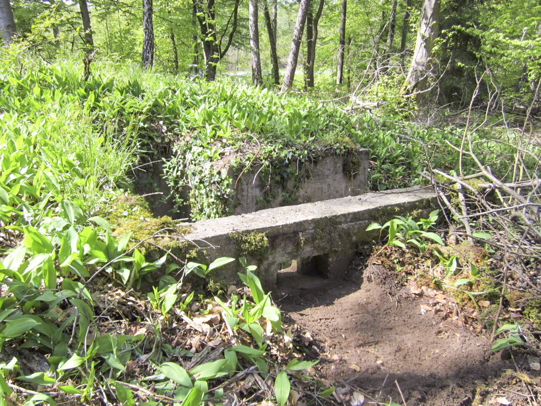 Ligne Maginot - KLOSTERGRABEN 5 - (Blockhaus pour arme infanterie) - Créneau de l'accès bétonné - gregfuchs