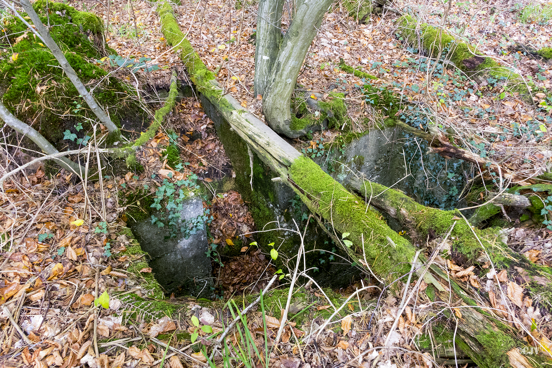 Ligne Maginot - KLOSTERGRABEN 6 (Cuve pour arme d'infanterie) -  - Lia VERMEULEN