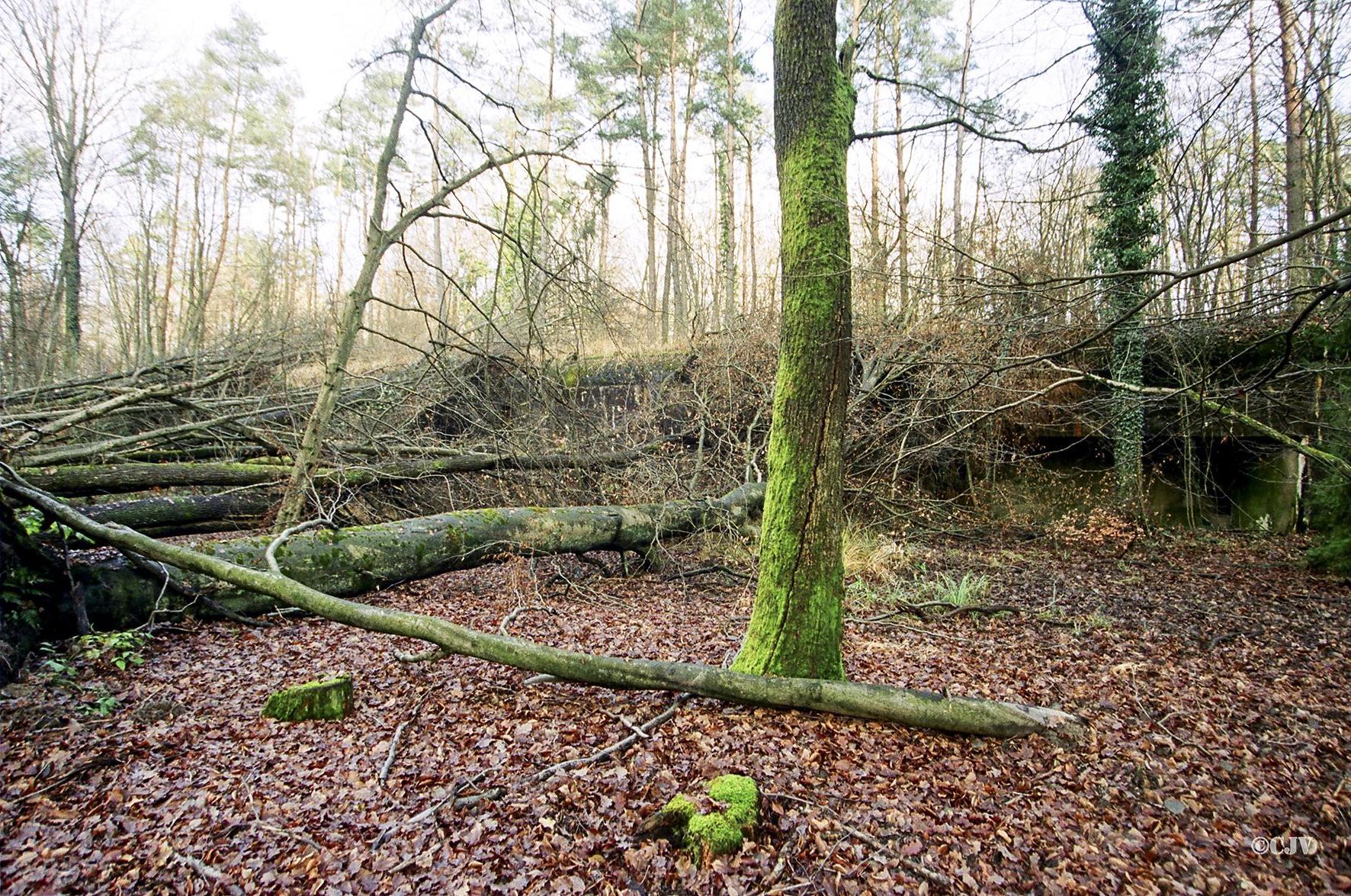 Ligne Maginot - KOENIGSBRUCK - (Abri) - La façade est cachée derrière les arbres - Caspar Vermeulen