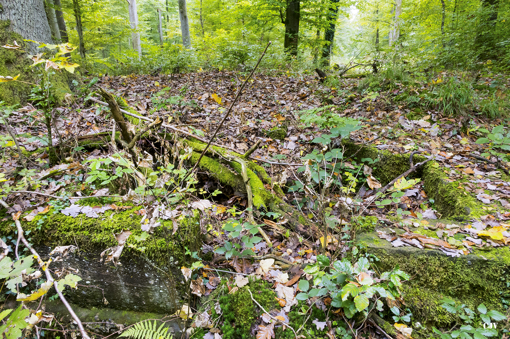 Ligne Maginot - KOENIGSBRUCK 2 (Cuve pour arme d'infanterie) -  - Lia VERMEULEN