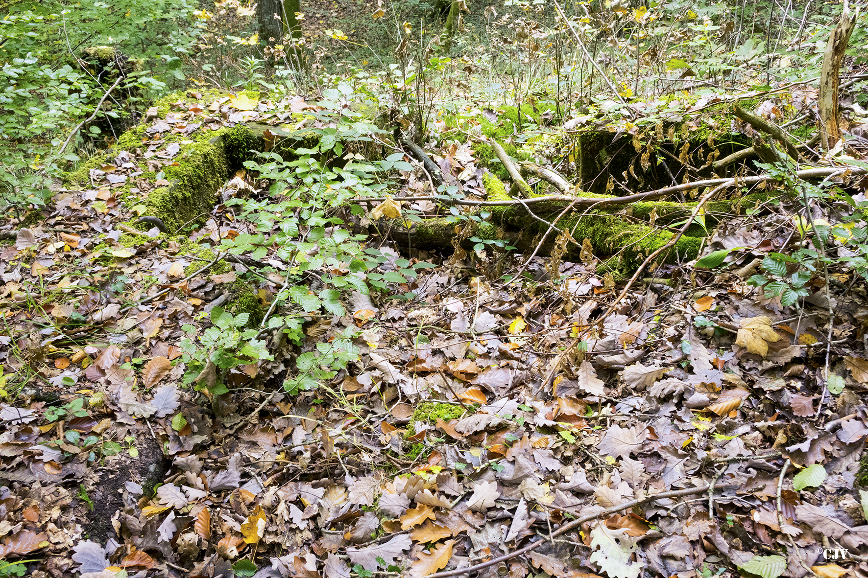 Ligne Maginot - KOENIGSBRUCK 2 (Cuve pour arme d'infanterie) -  - Lia VERMEULEN
