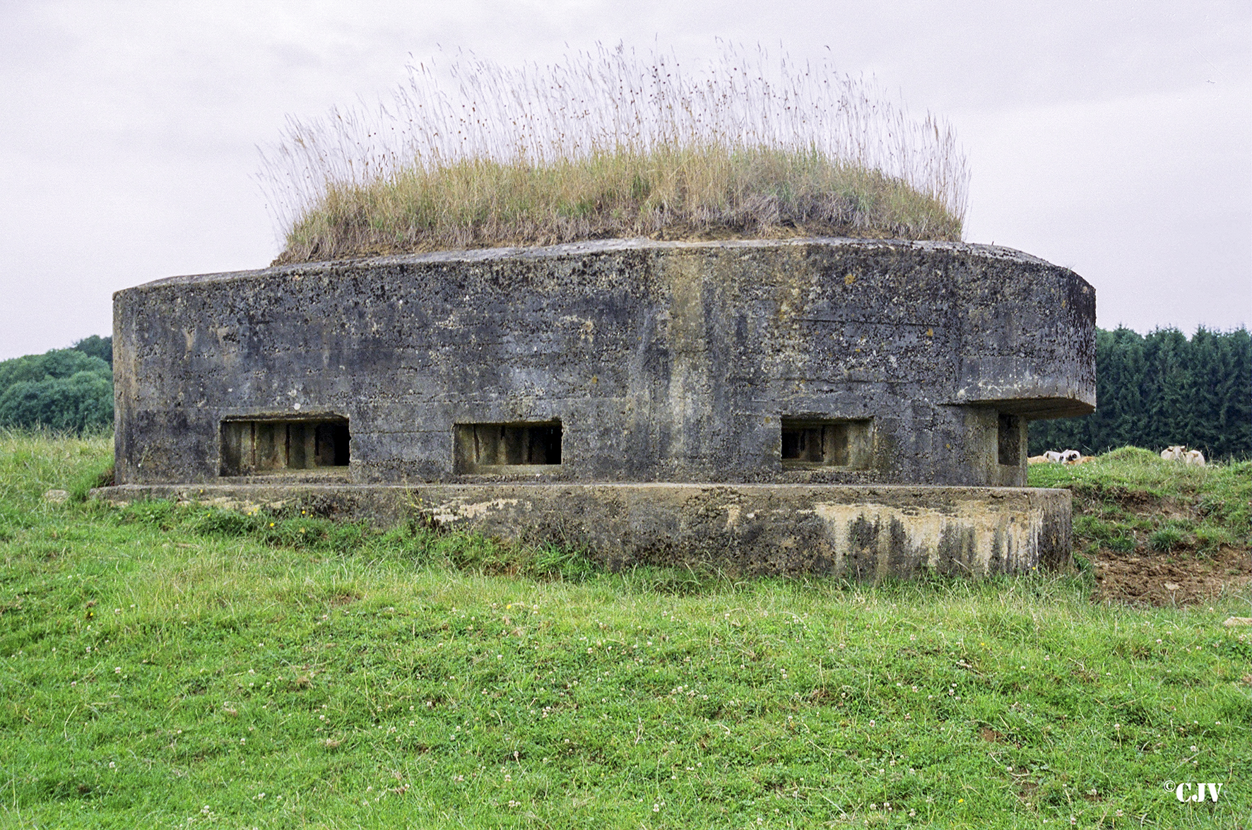 Ligne Maginot - J - GRAND PAQUIS SUD - (Blockhaus pour canon) -  - Caspar Vermeulen