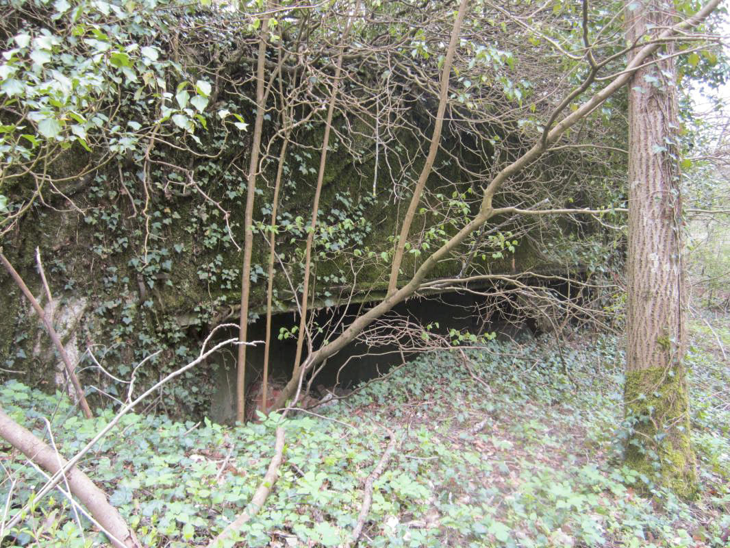 Ligne Maginot - KOENIGSBRUCK NORD - (Casemate d'infanterie) - Façade de la chambre de tir - gregfuchs