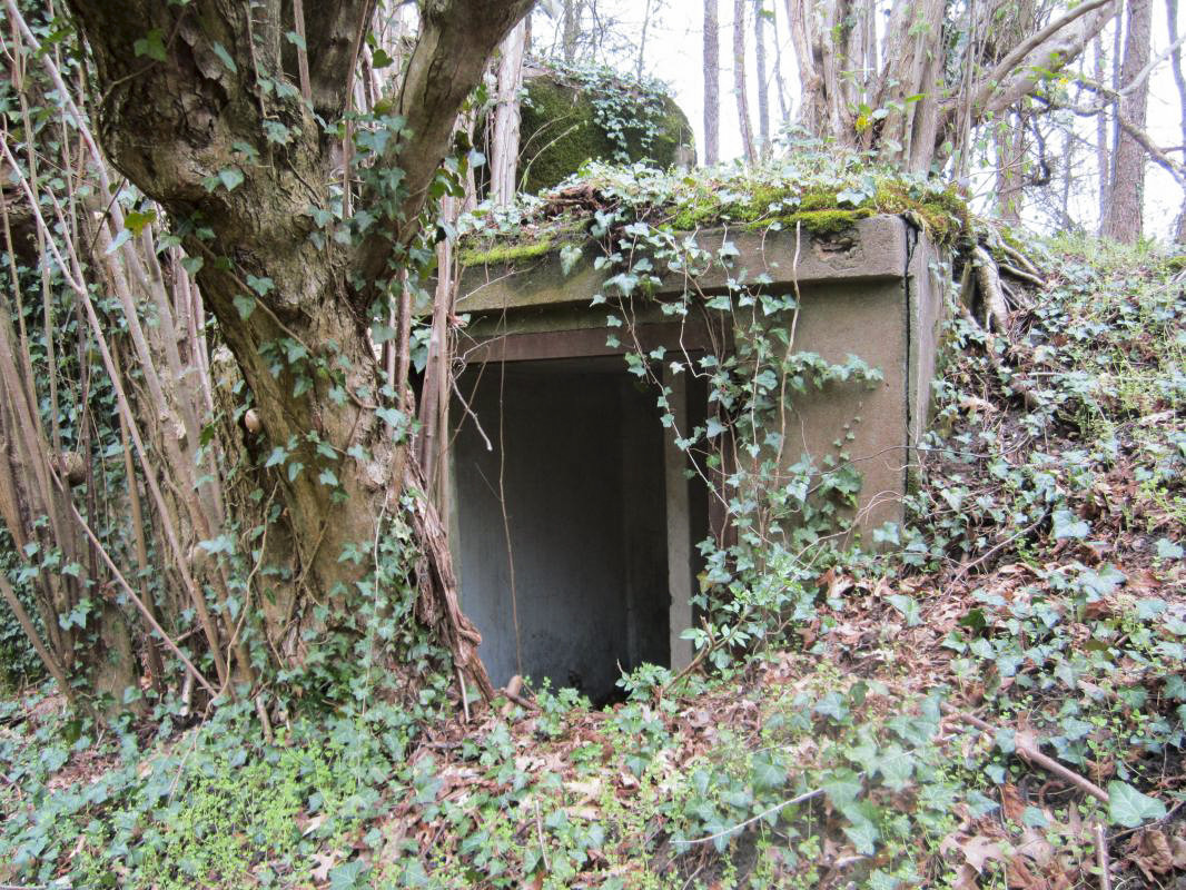 Ligne Maginot - KOENIGSBRUCK NORD - (Casemate d'infanterie) - Niche - gregfuchs