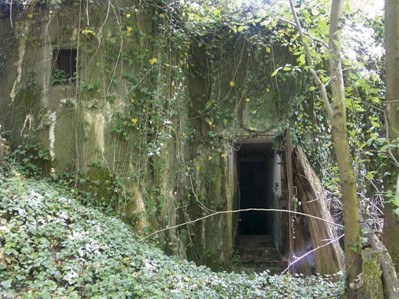 Ligne Maginot - KOENIGSBRUCK Sud (Casemate d'infanterie) - Vue extérieur - Pascal LAMBERT