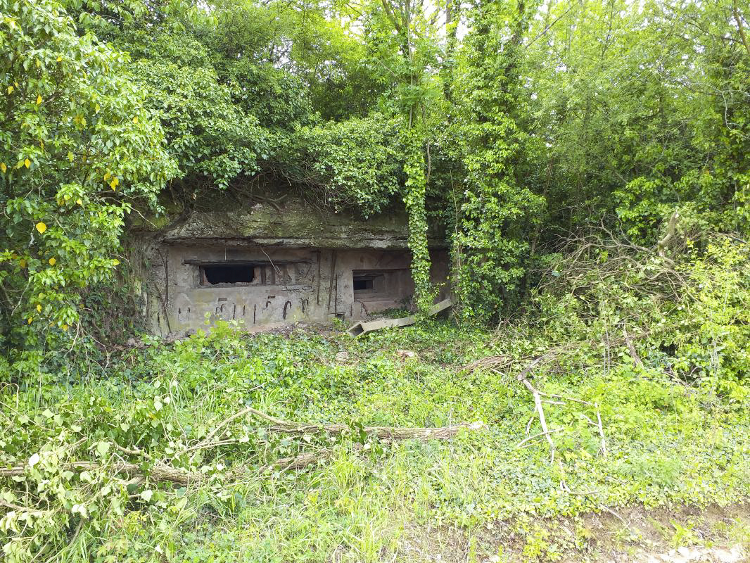 Ligne Maginot - KUBELMUEHLE 1 (AVANT POSTE) - (Blockhaus pour canon) - La façade de la chambre de tir mitrailleuse et AC 47 - gregfuchs