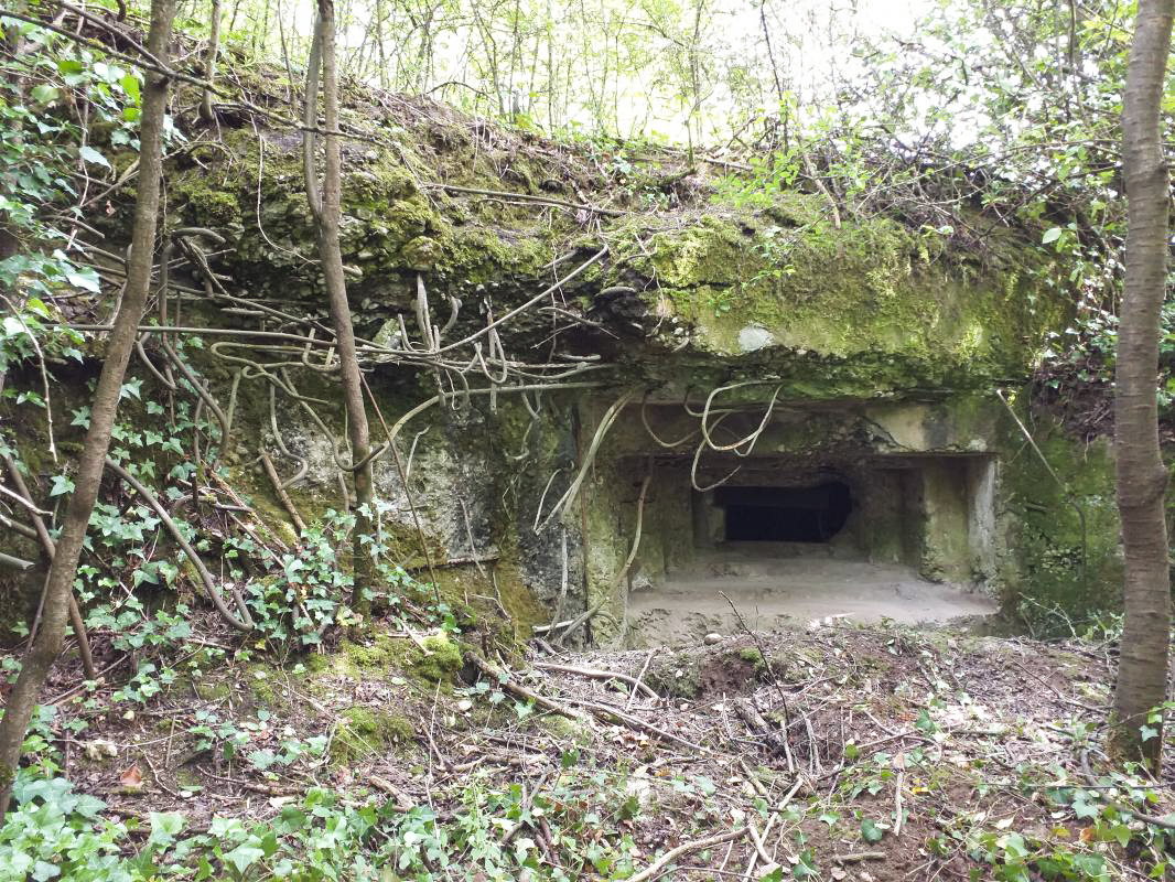 Ligne Maginot - KUBELMUEHLE 1 (AVANT POSTE) - (Blockhaus pour canon) - Créneau nord-ouest - gregfuchs