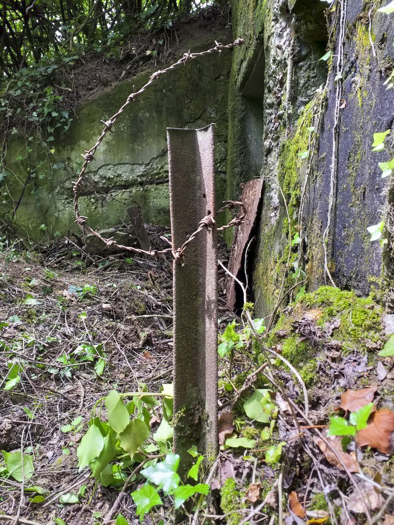 Ligne Maginot - KUBELMUEHLE 1 (AVANT POSTE) - (Blockhaus pour canon) - Reste de réseau des barbelés devant l'entrée - gregfuchs