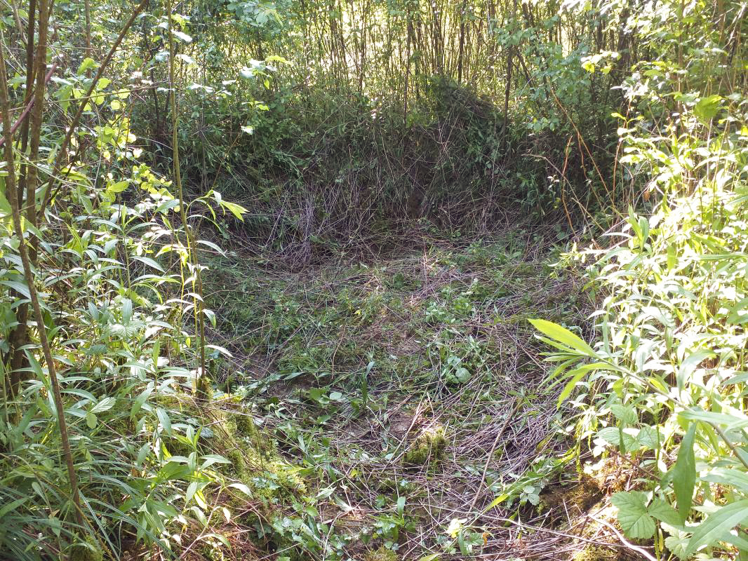 Ligne Maginot - KUBELMUEHLE 2 (AVANT POSTE) - (Blockhaus pour canon) - Position (abri léger ?) - gregfuchs
