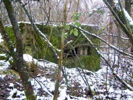 Ligne Maginot - DORFBRUNNEN NORD - (Blockhaus pour arme infanterie) - 