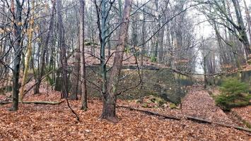 Ligne Maginot - HOCHWALD C6 - (Casemate d'infanterie) - Le mur d'escarpe entre la casemate C6 et l'extrémité du fossé de la casemate C5