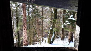 Ligne Maginot - HOCHWALD C3 - (Casemate d'infanterie - double) - Chambre de tir haute, vue depuis le créneau JM