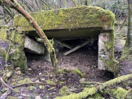 Ligne Maginot - BINING EST - (Blockhaus pour arme infanterie) - 