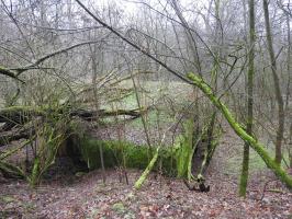 Ligne Maginot - HOLZMISS - (Blockhaus lourd type STG / STG-FCR - Simple) - La casemate STG avec la voie ferrée au fond