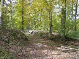 Ligne Maginot - MAISON FORESTIERE de l'EBERBACH 2 (Cuve pour arme d'infanterie) - 
