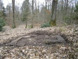 Ligne Maginot - MAISON FORESTIERE de l'EBERBACH 2 (Cuve pour arme d'infanterie) - 