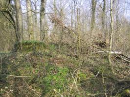 Ligne Maginot - MAISON FORESTIERE DE RITTERSHOFFEN 1 - (Blockhaus pour arme infanterie) - 