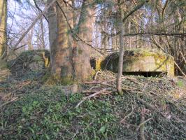 Ligne Maginot - MAISON FORESTIERE DE RITTERSHOFFEN 2 - (Blockhaus pour arme infanterie) - 