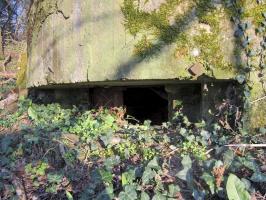 Ligne Maginot - MAISON FORESTIERE DE RITTERSHOFFEN 2 - (Blockhaus pour arme infanterie) - 