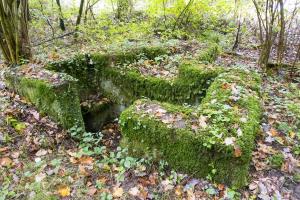 Ligne Maginot - MAISON FORESTIERE DE RITTERSHOFFEN 3 - (Cuve pour arme d'infanterie) - 