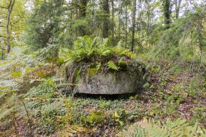 Ligne Maginot - MITTELWEG 1 (Blockhaus pour arme infanterie) - 