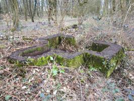 Ligne Maginot - NIEDERBETSCHDORF 5 - (Cuve pour arme d'infanterie) - 