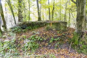 Ligne Maginot - SCHONUNG 2 (Blockhaus pour arme infanterie) - 