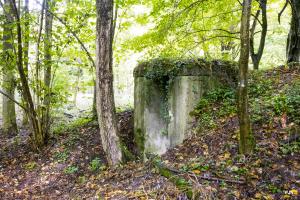 Ligne Maginot - SCHONUNG 2 (Blockhaus pour arme infanterie) - 