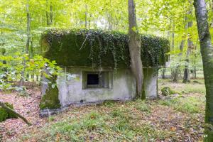 Ligne Maginot - SELTZBACH 3 (Blockhaus pour arme infanterie) - 