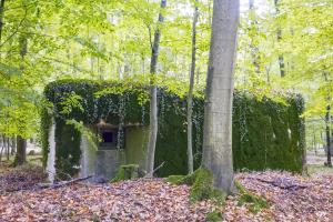 Ligne Maginot - SELTZBACH 3 (Blockhaus pour arme infanterie) - 