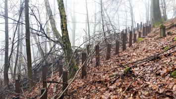 Ligne Maginot - HOCHWALD C8 - (Casemate d'infanterie) - Le réseau de rails antichar entre les casemates C9 et C8