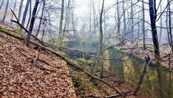 Ligne Maginot - HOCHWALD C8 - (Casemate d'infanterie) - La casemate et le fossé antichar