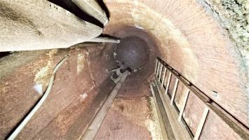 Ligne Maginot - HOCHWALD C9 - (Casemate d'infanterie) - Etage supérieur
Cloche jumelage de mitrailleuses MAC 31